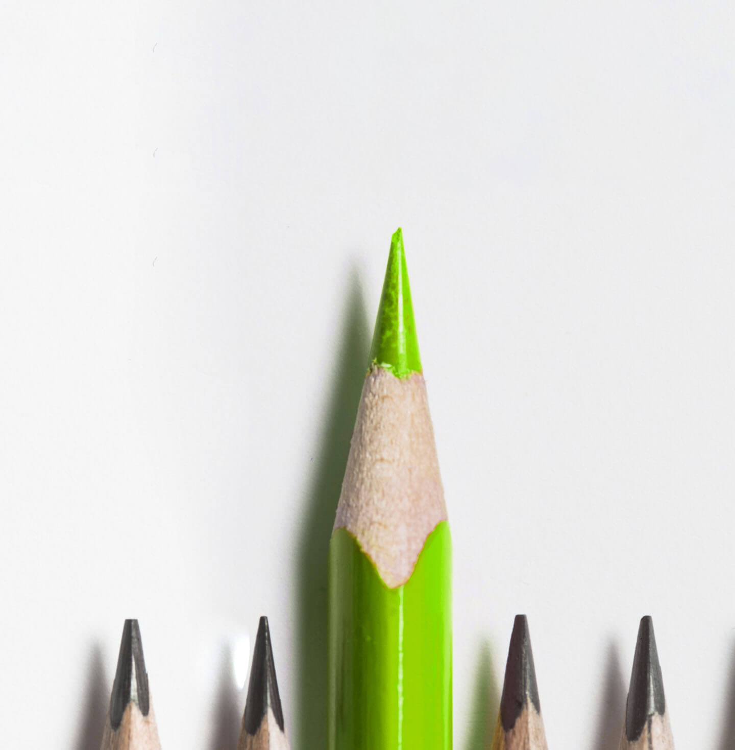 Foto di punte matita nere messe in fila di cui una verde e posizionata più in alto.